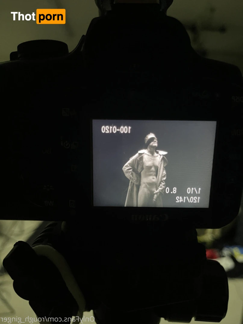 10x6 Ginger 14474092