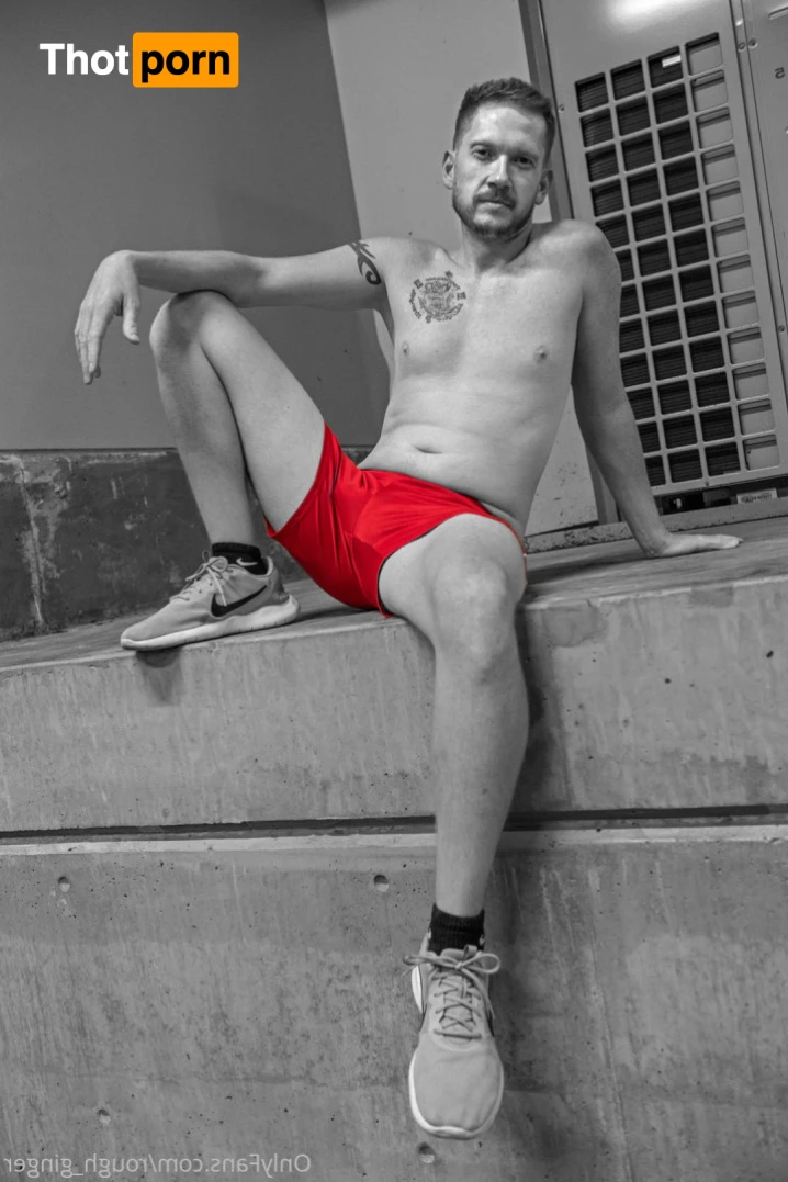 10x6 Ginger 14489666