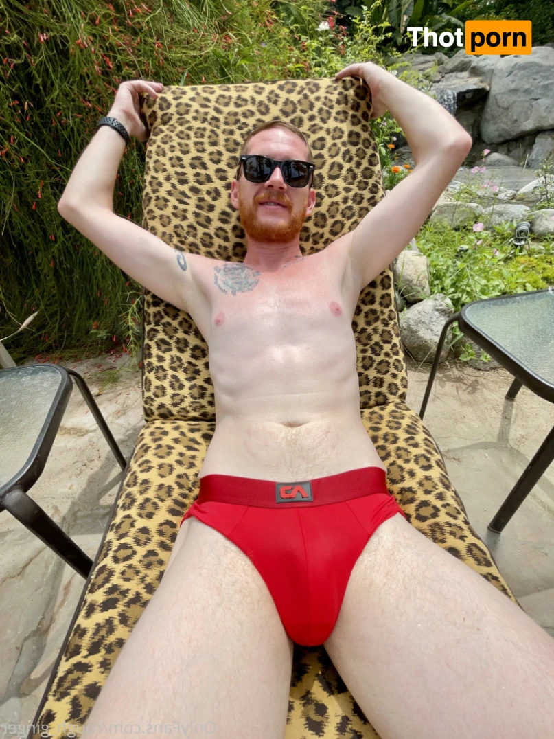 10x6 Ginger 14491945