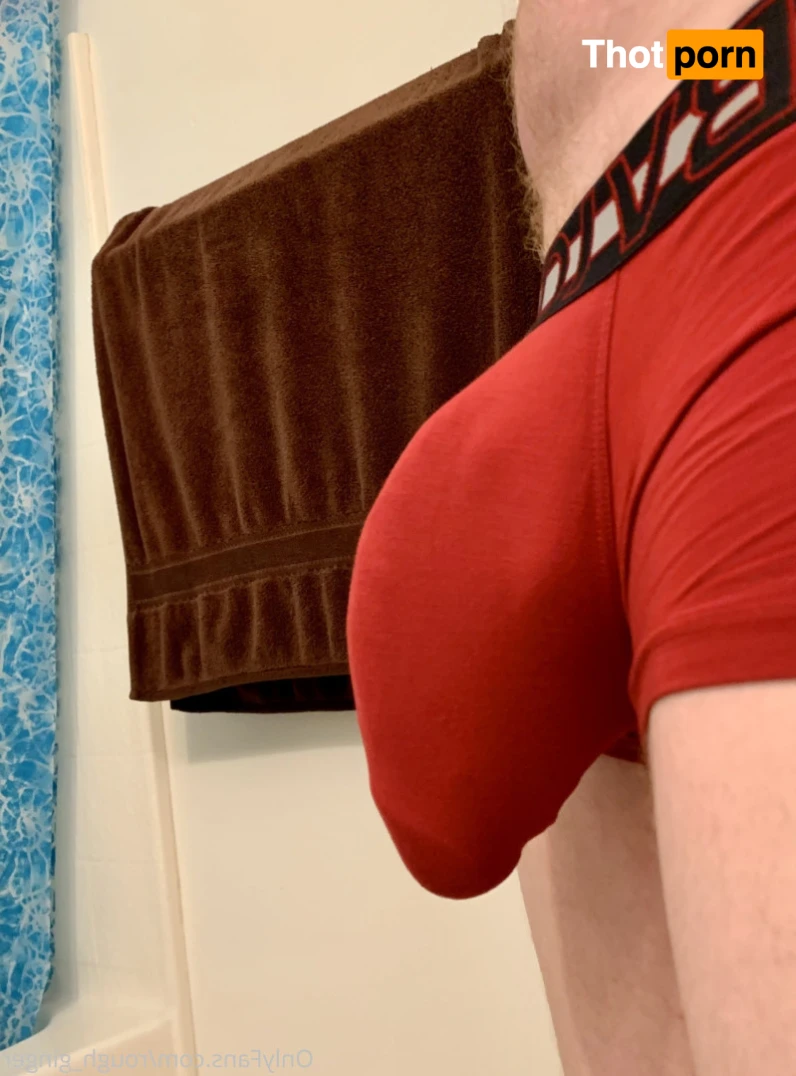 10x6 Ginger 14503300