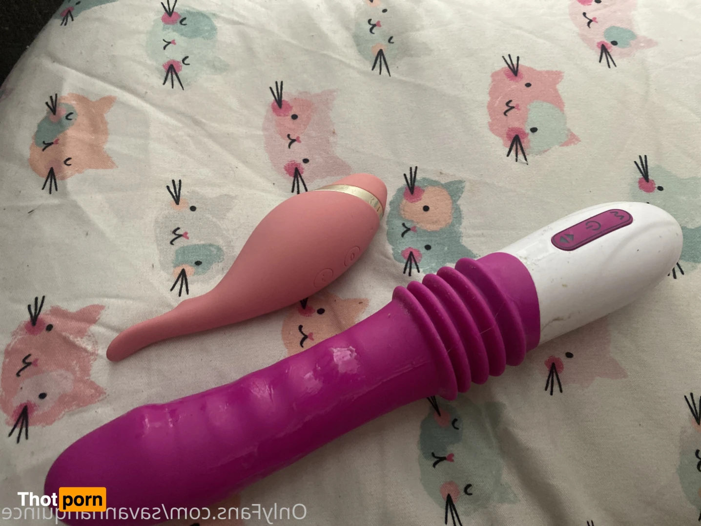 savannah quince 13019924