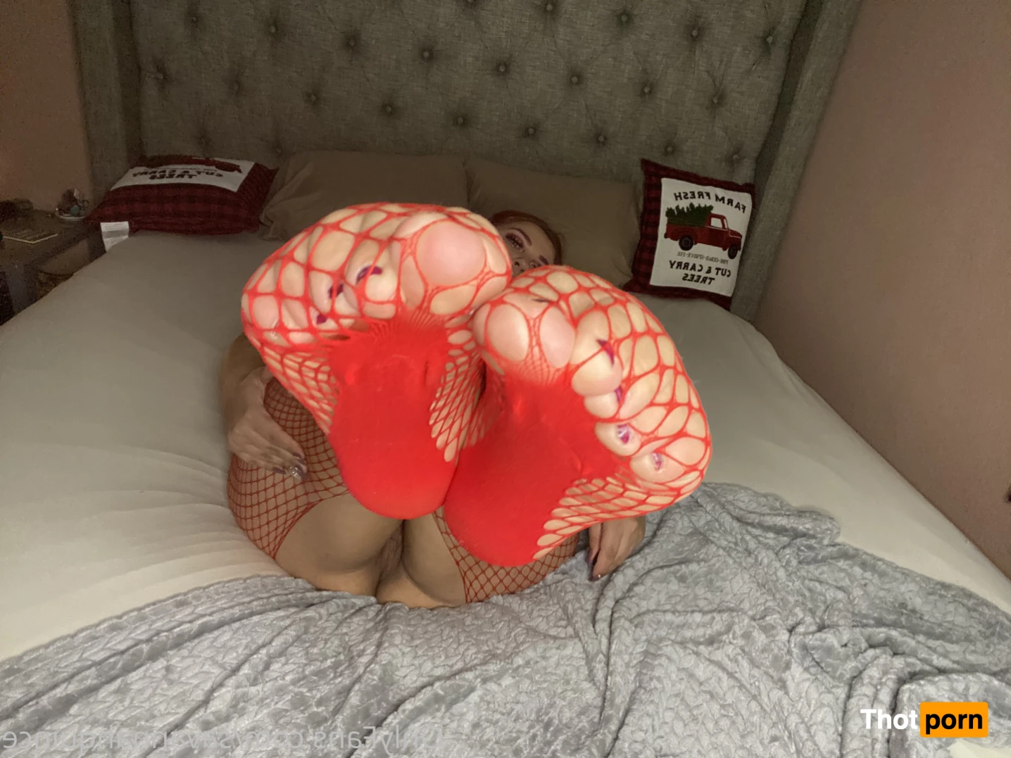 savannah quince 13027143