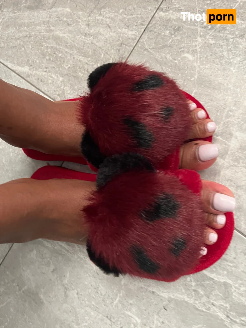 savannahsplitzfree 13437953