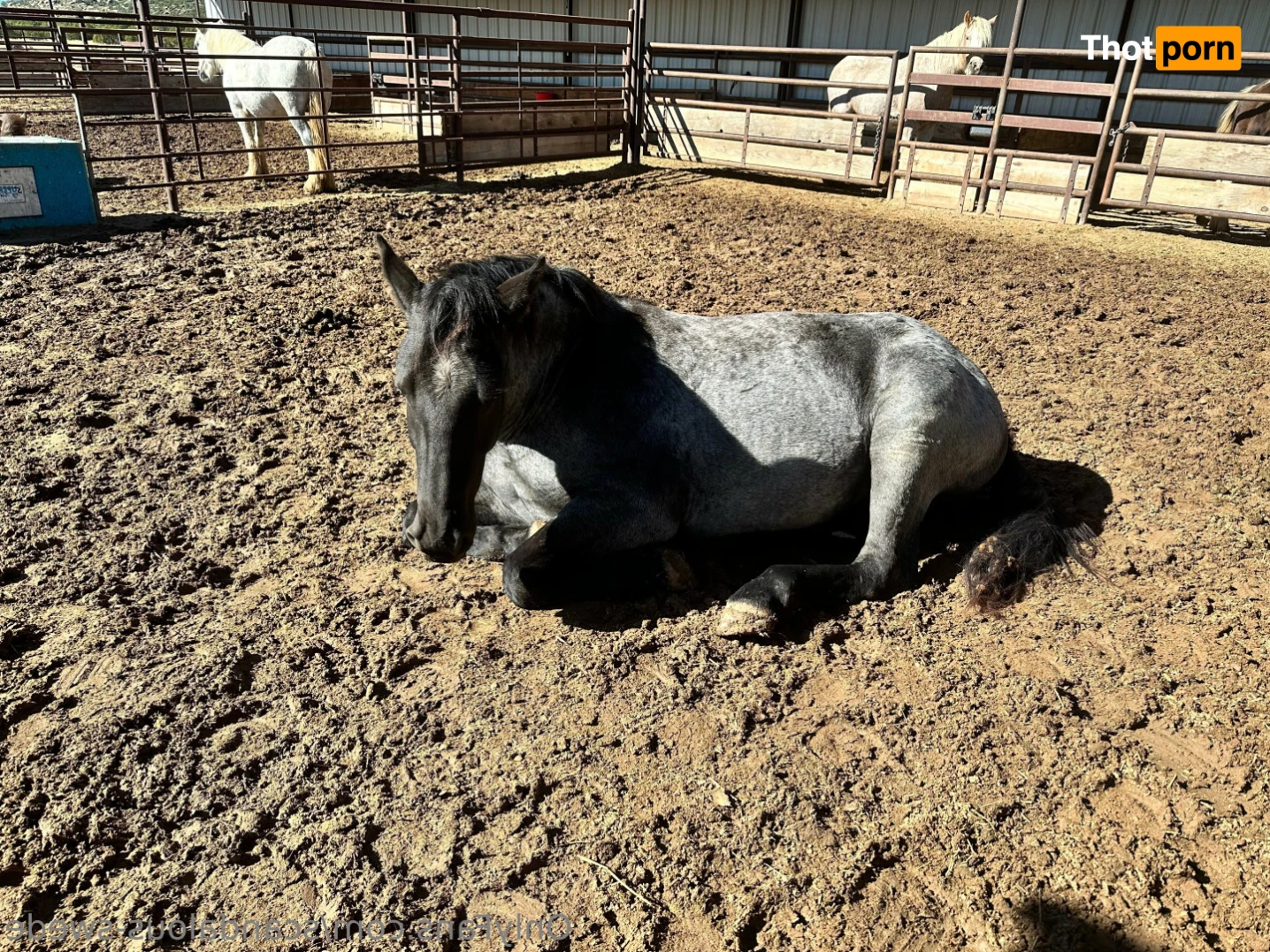 Astrid ❤️ 15423694