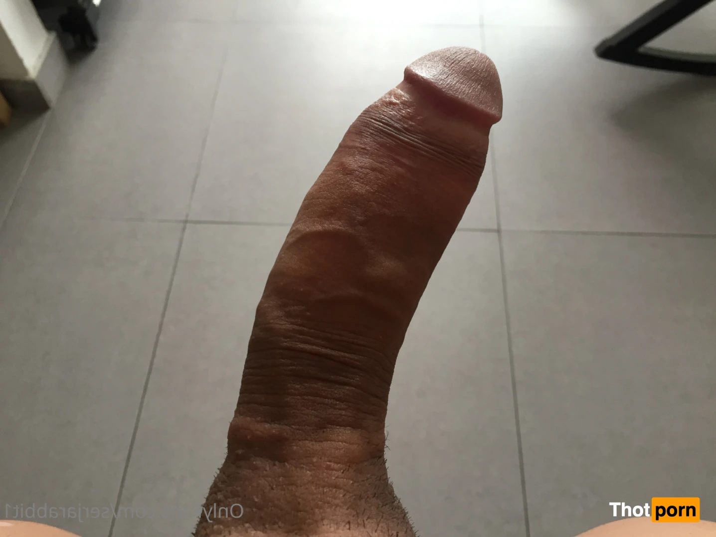 SerjaRabbit 11726544