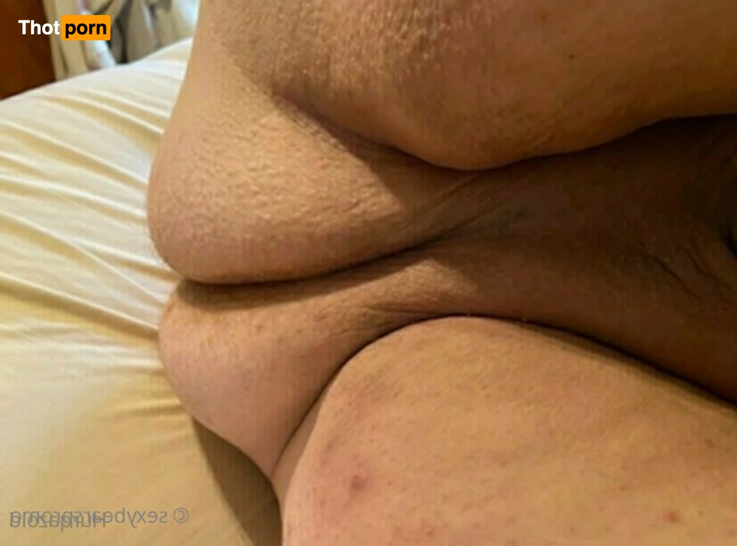 Sexy Bears Promo 16451507