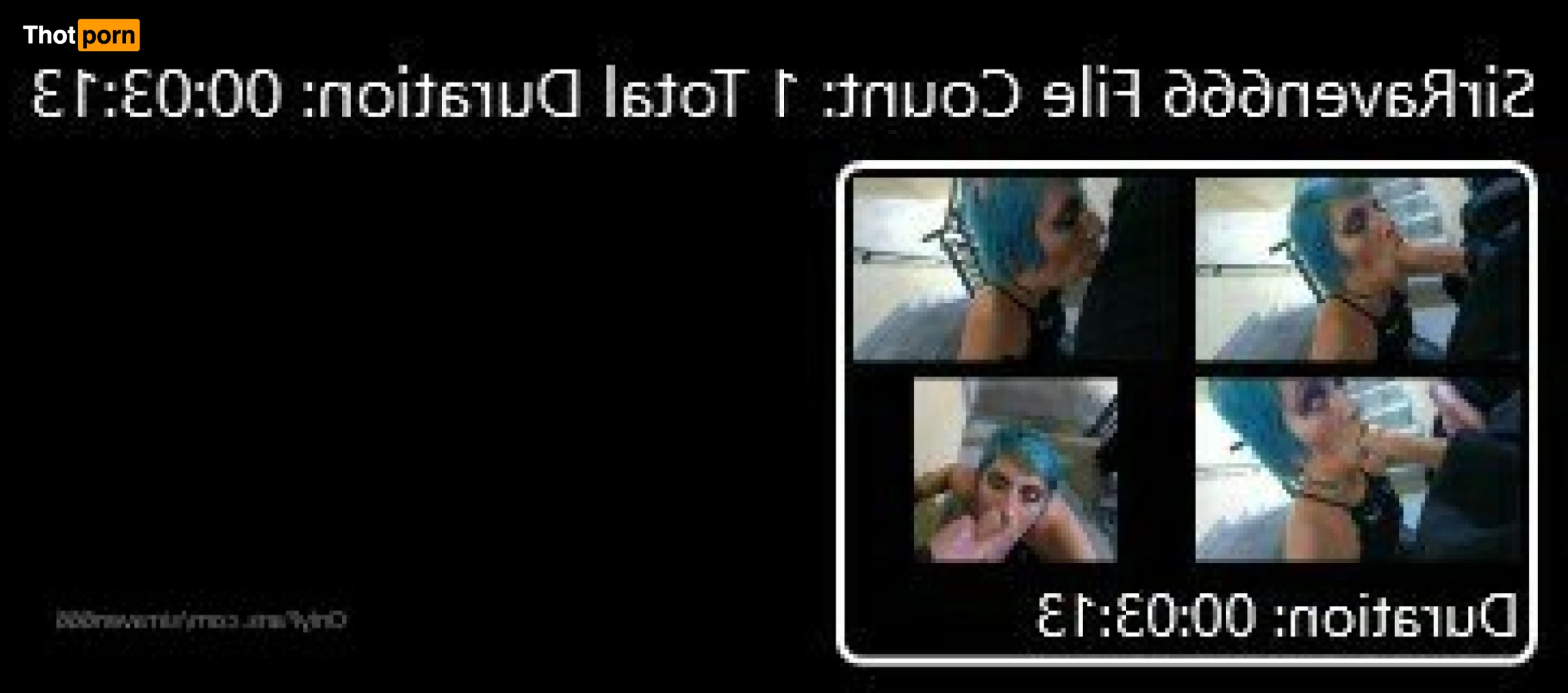 SirRaven666 11982080