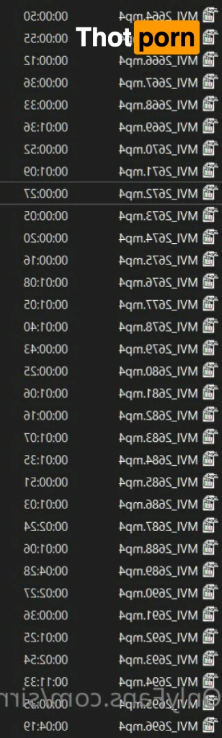 SirRaven666 11993419