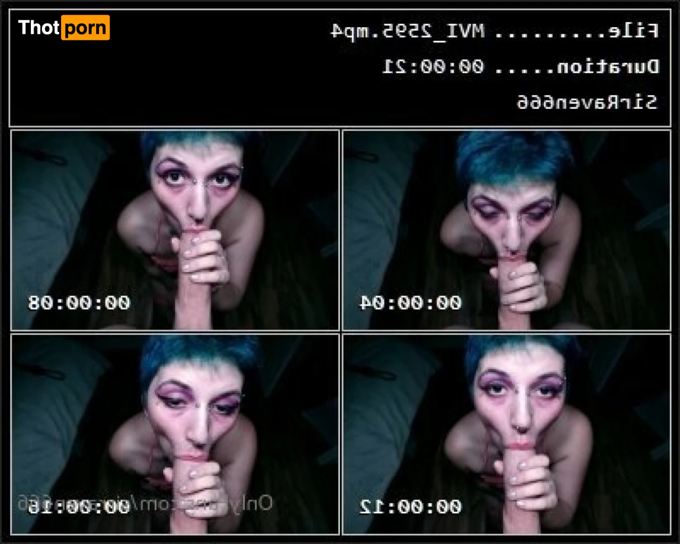 SirRaven666 12016573