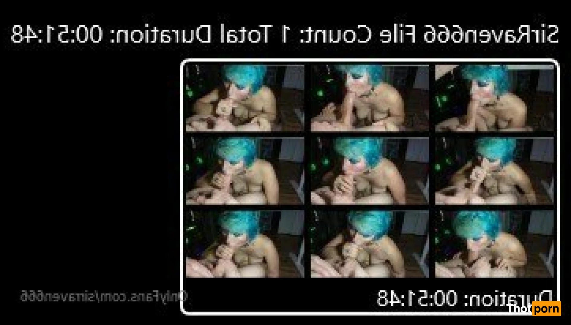 SirRaven666 12027302