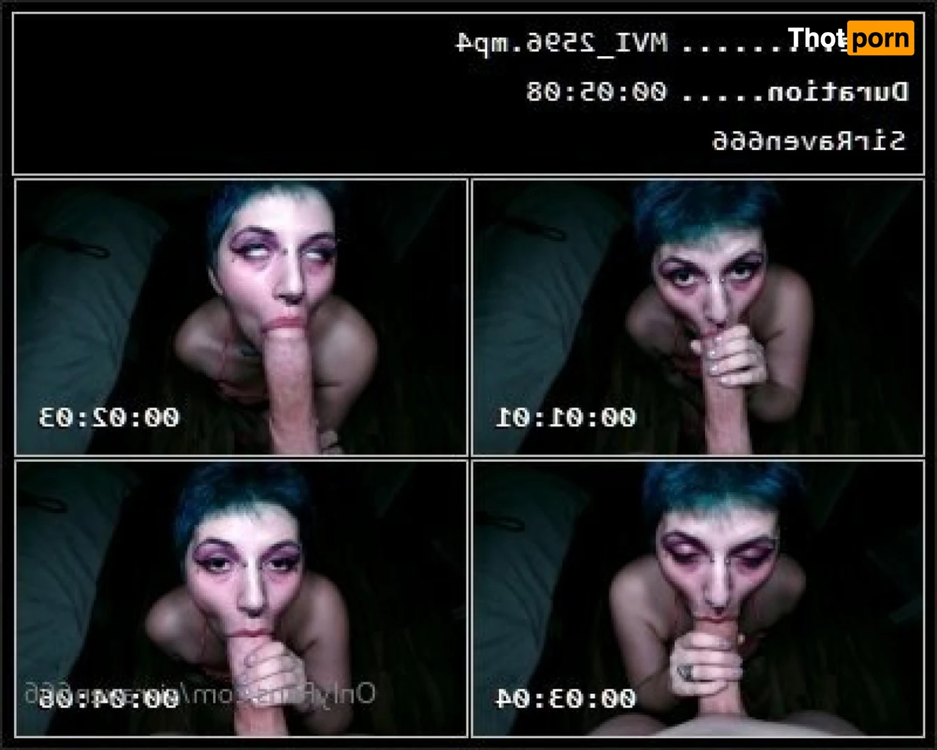 SirRaven666 12036586