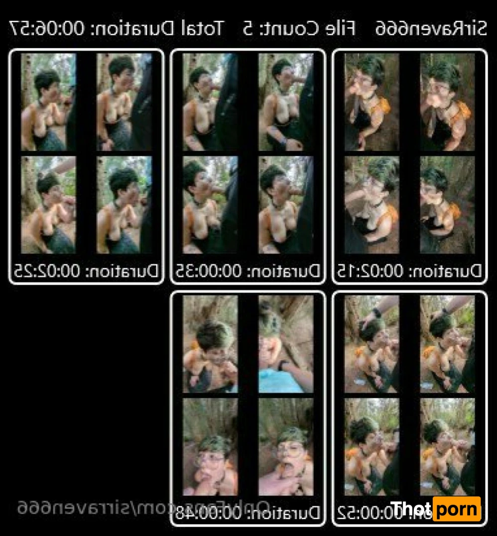 SirRaven666 13302562