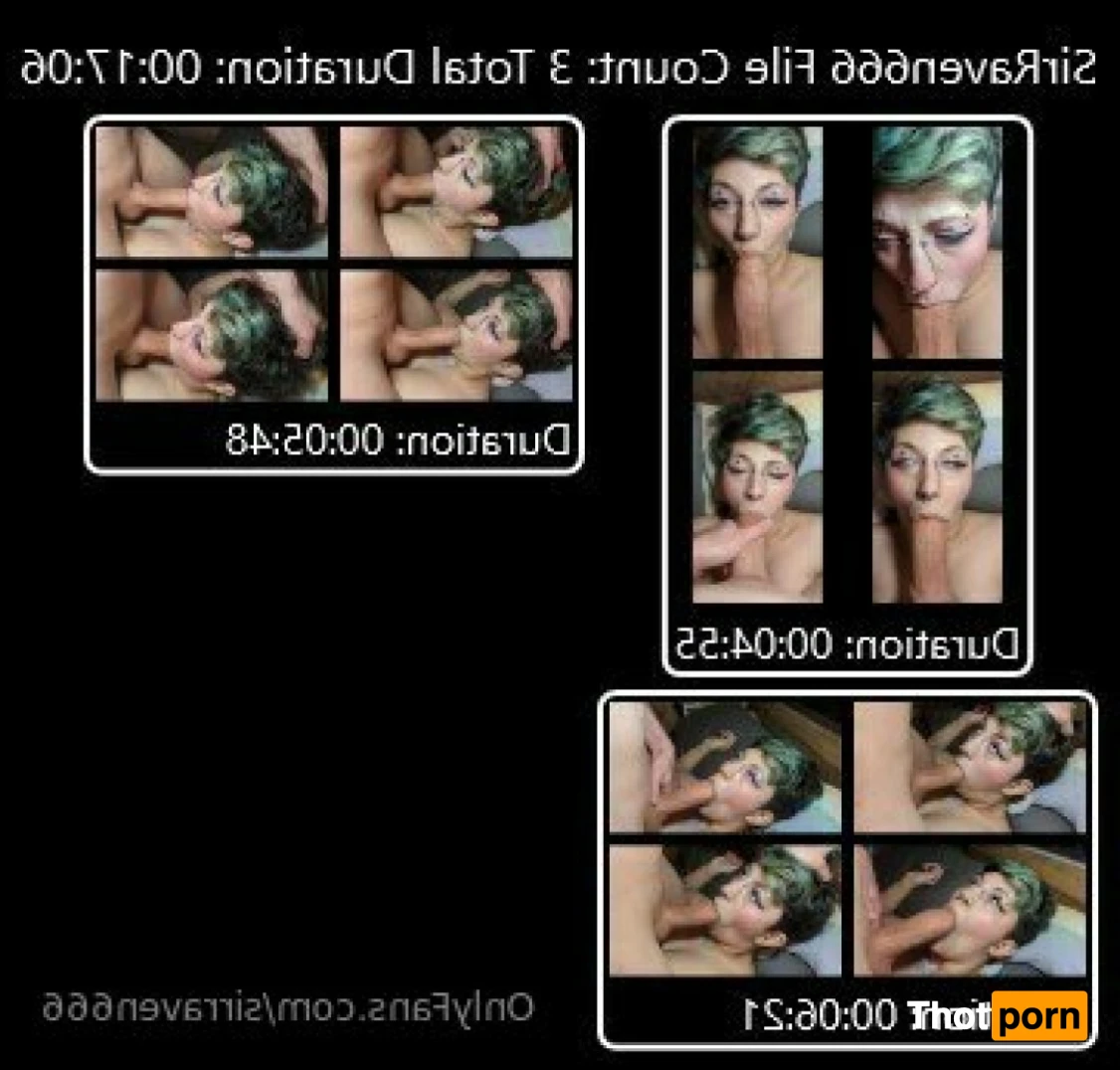 SirRaven666 13302740