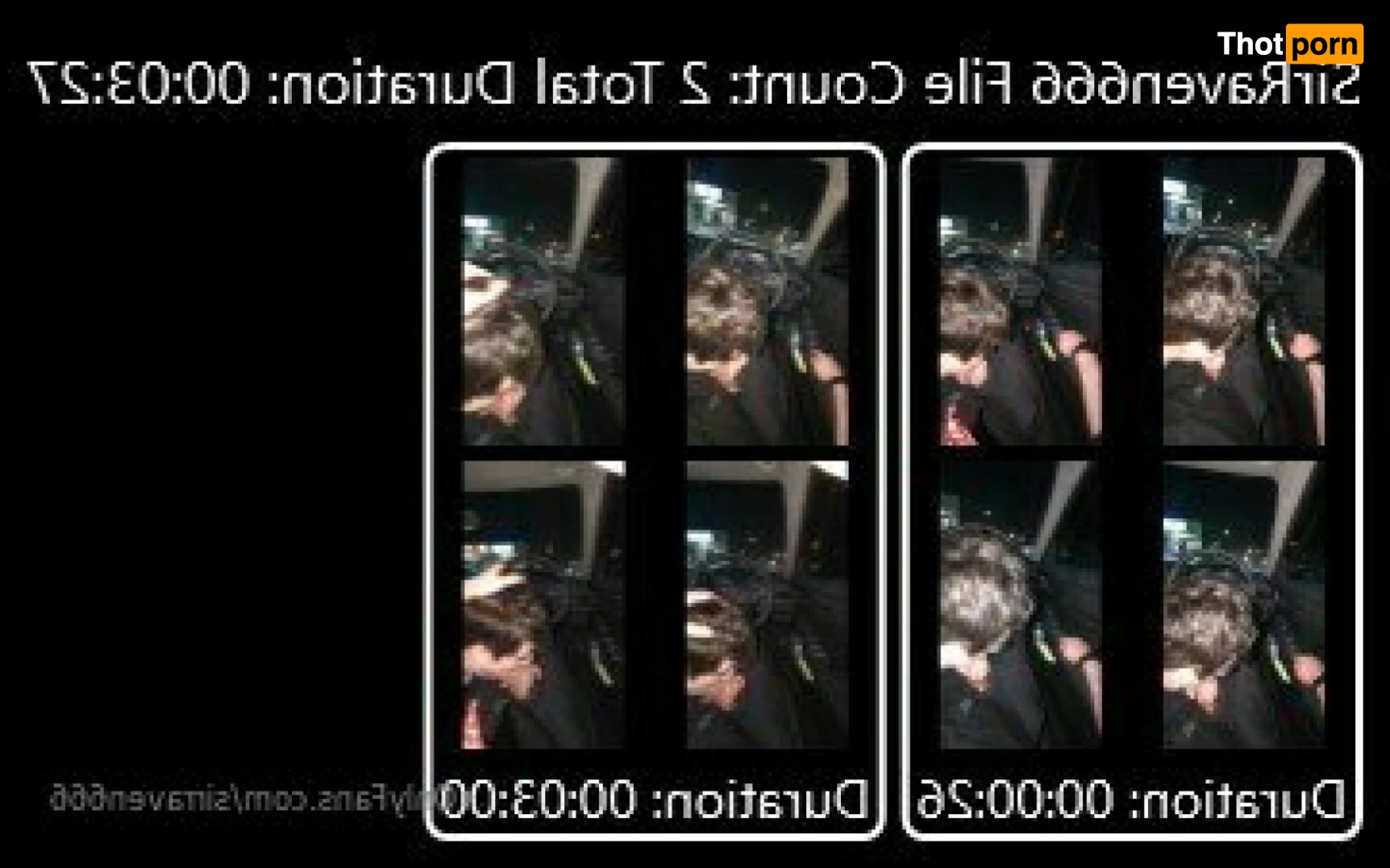 SirRaven666 13302796