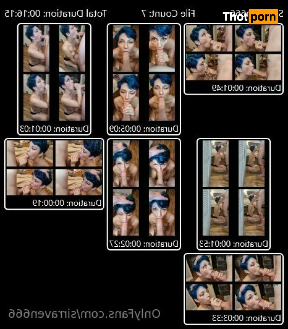 SirRaven666 13303065