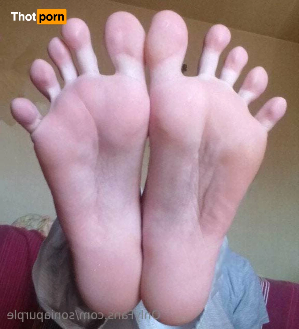 Sonia Purple 14389039