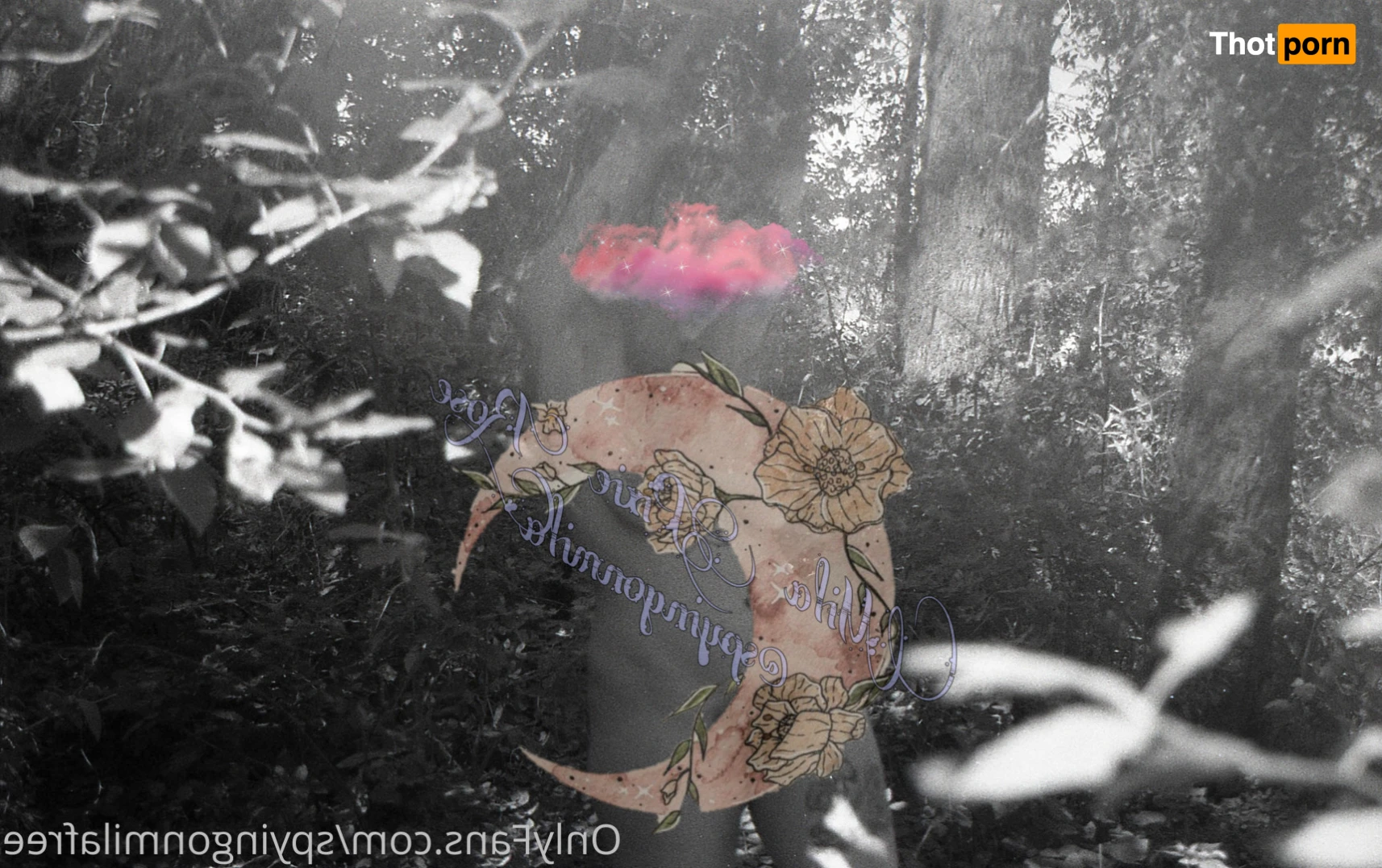 Mila Pixie Rose 12878267