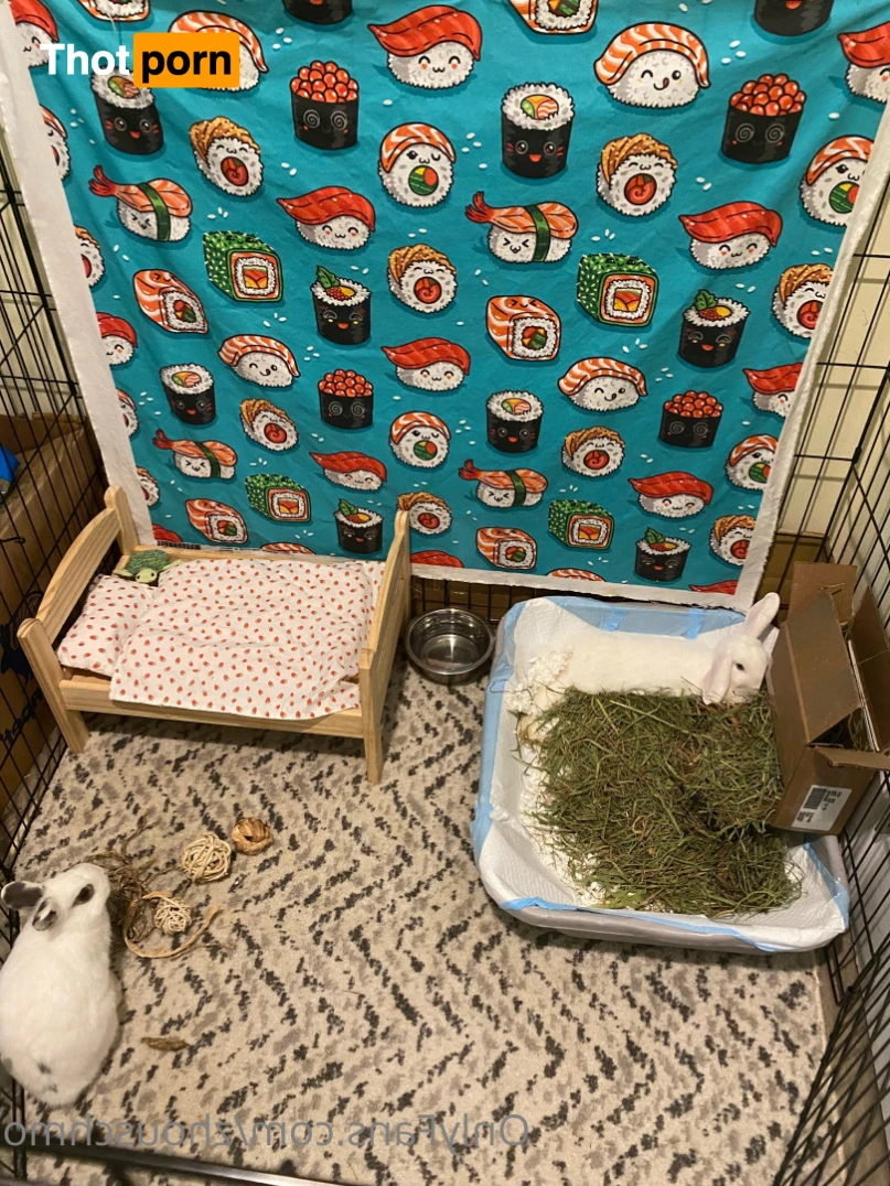 ✿  *ﾟ♡(˶ˆ꒳ˆ˶) Angela bunny (˶ˆ꒳ˆ˶)*ﾟ✿ 15390838