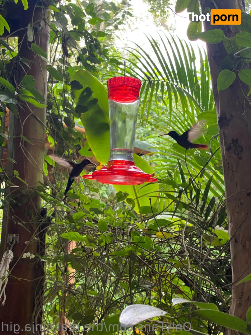 The Real Ninja Girl 🥷🔥 12885892