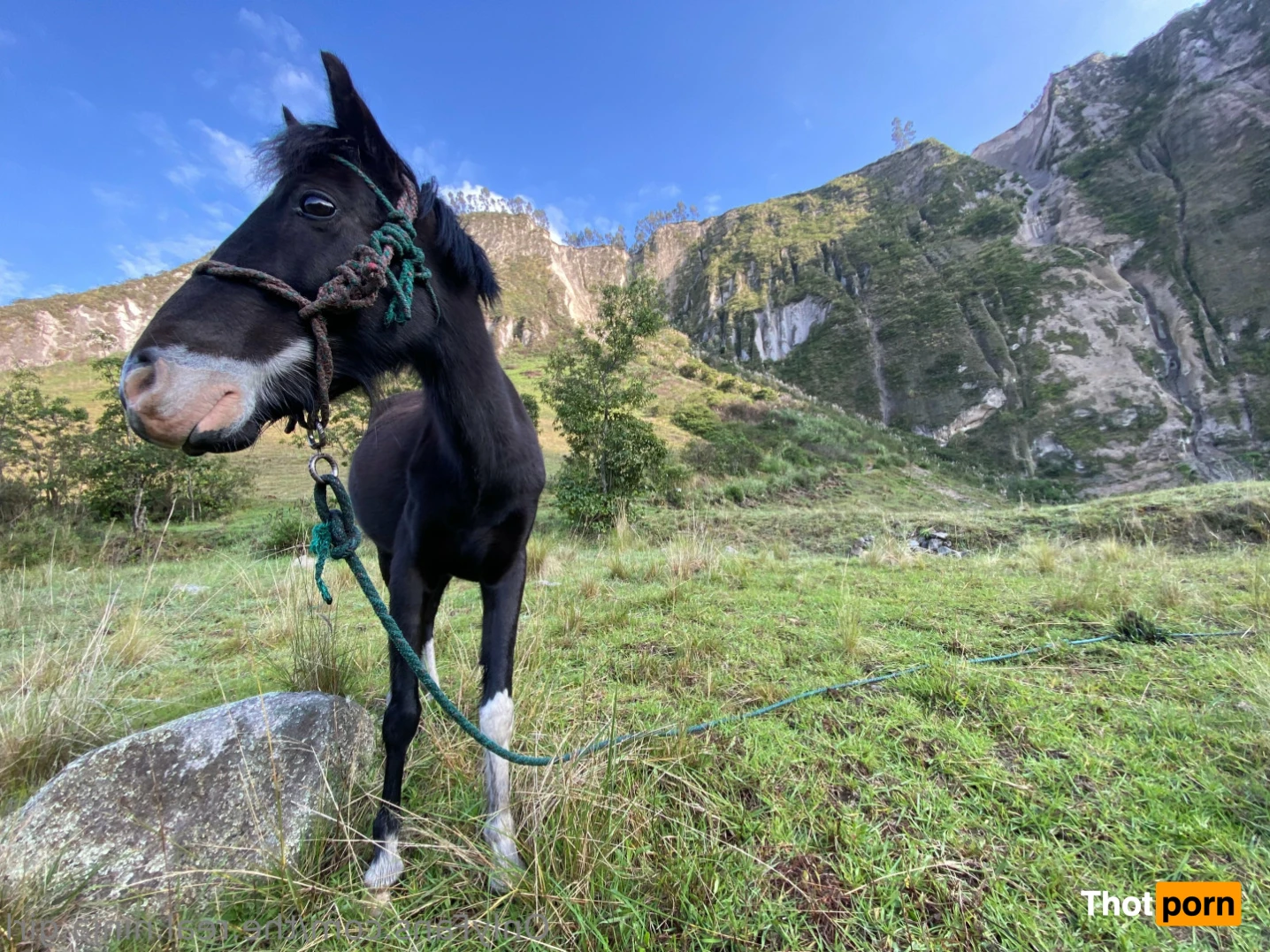 The Real Ninja Girl 🥷🔥 12886015