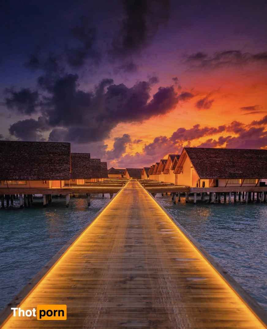 The Bearable Bull 13590099