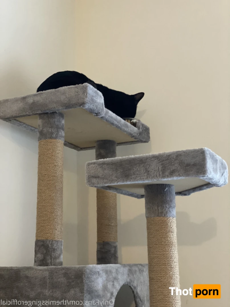 TheMissGinger 13702205