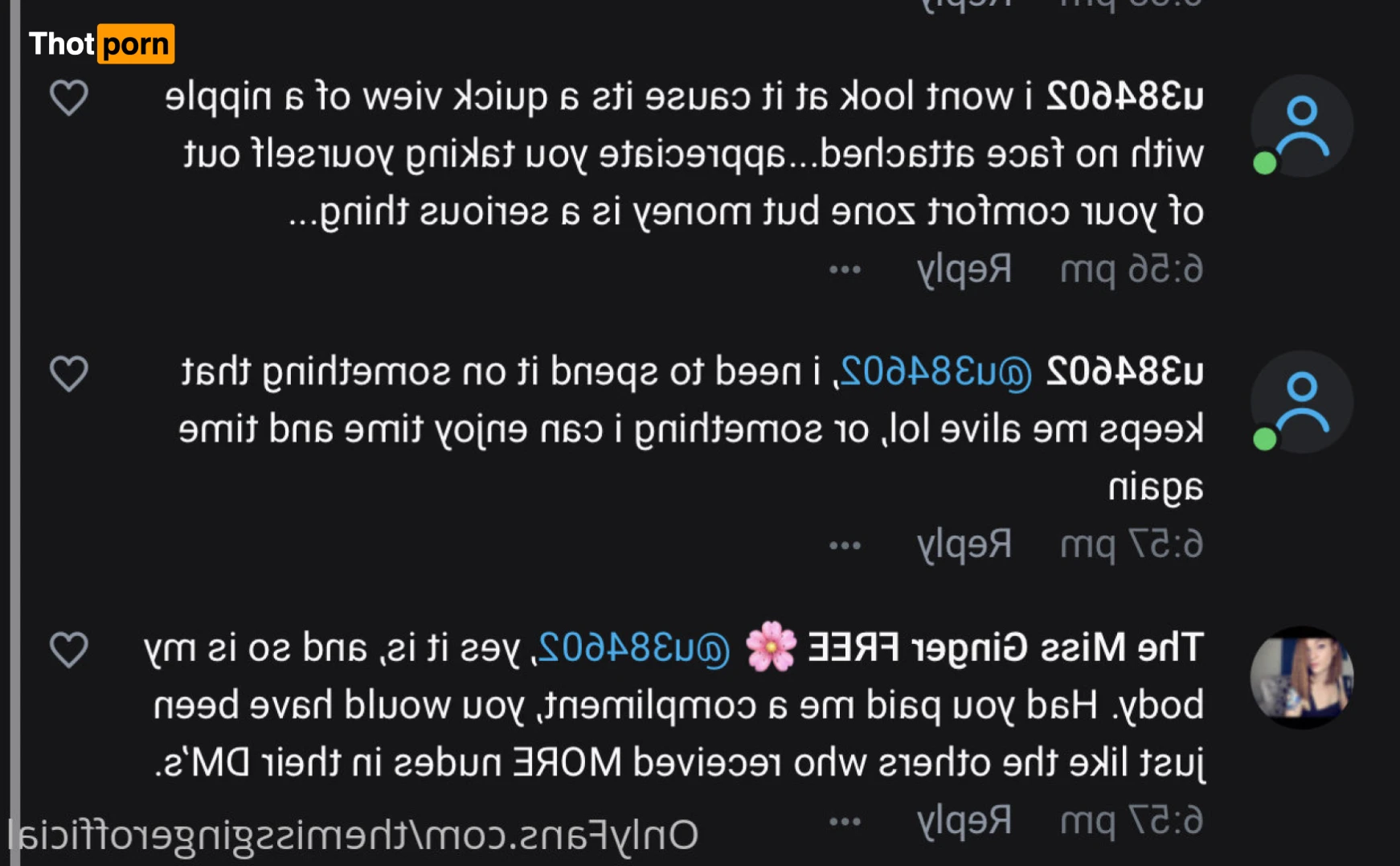 TheMissGinger 13719607