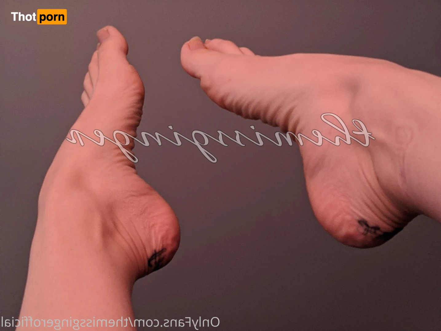 TheMissGinger 13757240