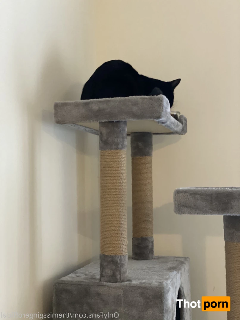 TheMissGinger 13760838