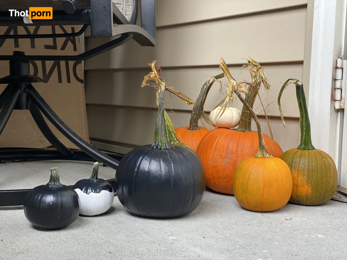 TheMissGinger 13795491