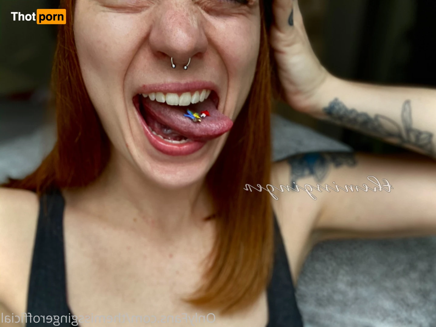 TheMissGinger 13869034