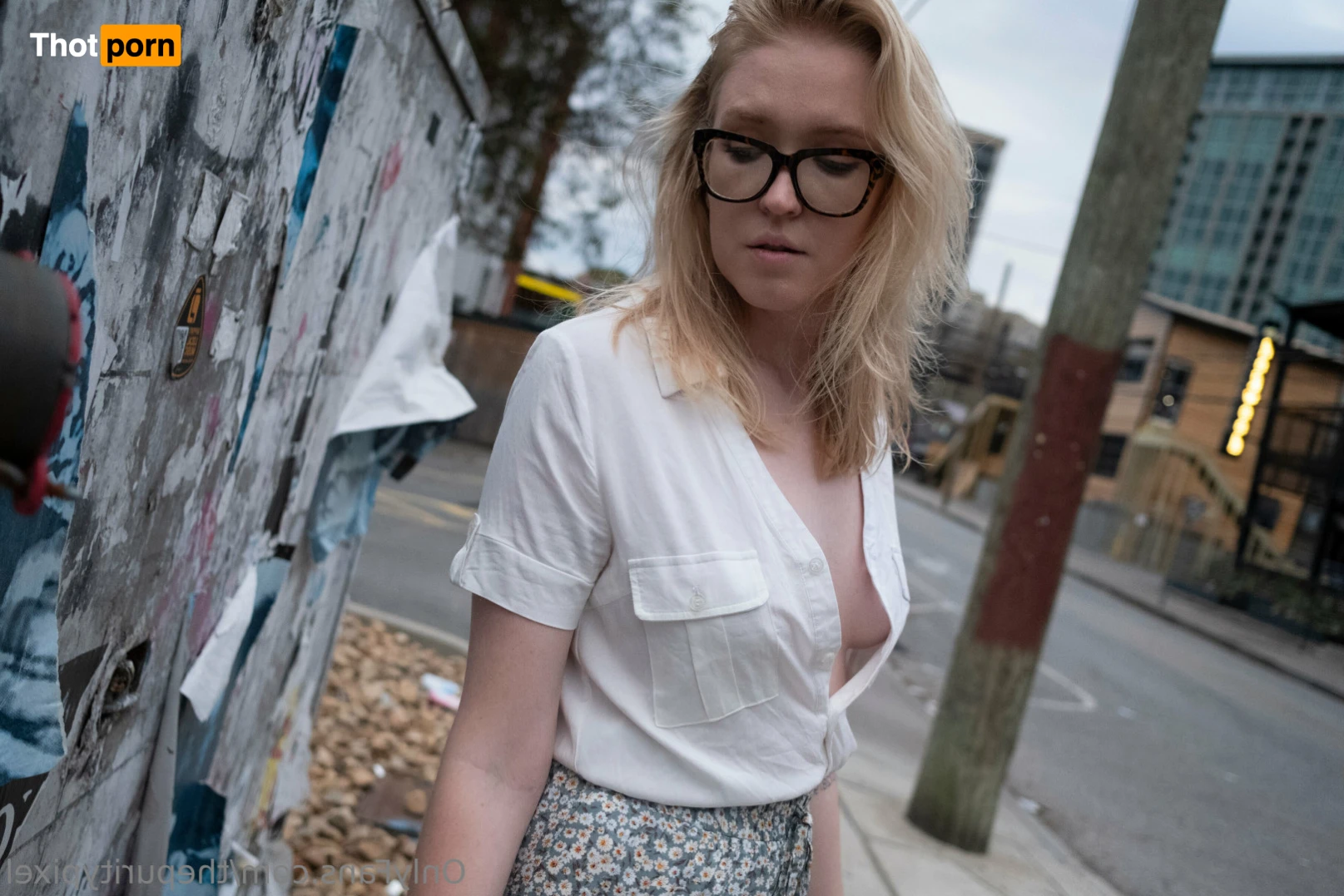 The Purity Pixel LLC 11237097