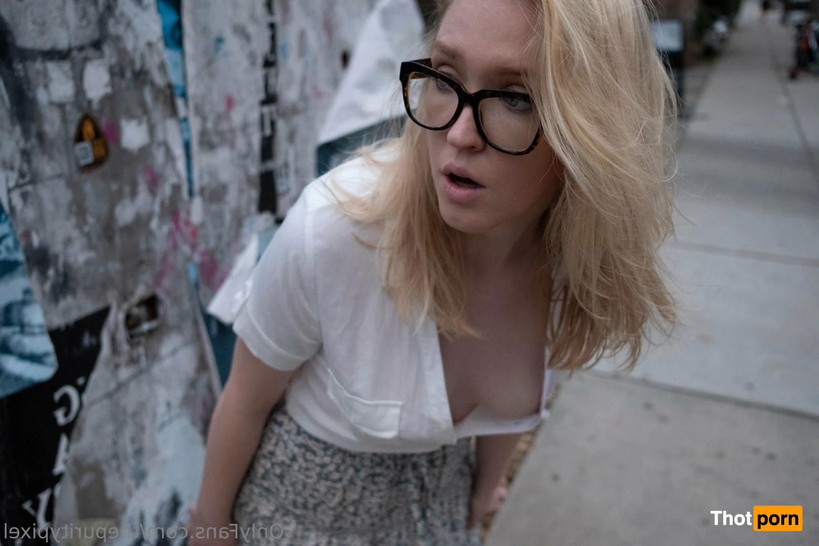 The Purity Pixel LLC 12198016