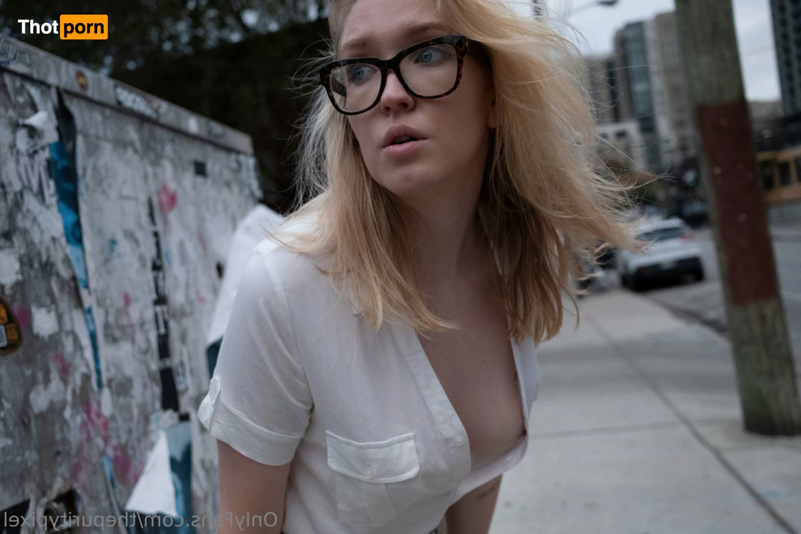 The Purity Pixel LLC 12244340