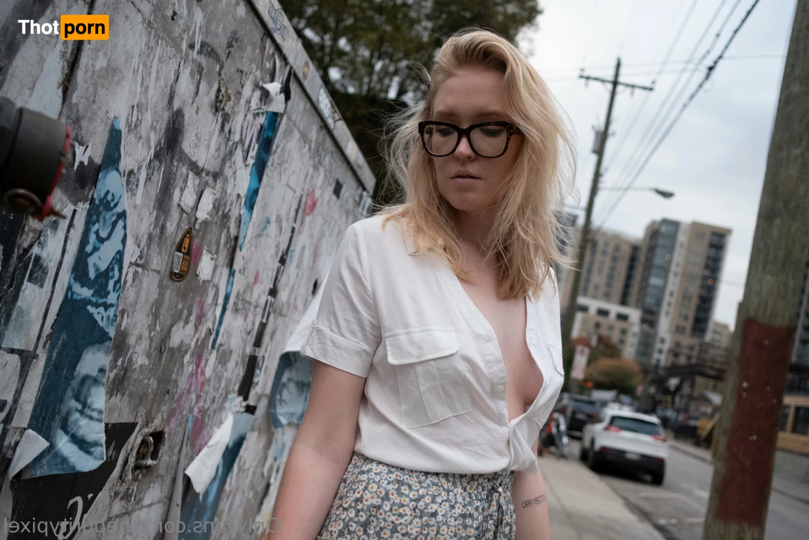 The Purity Pixel LLC 12272477