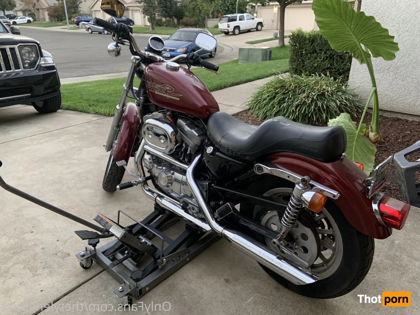 💋𝕋𝕙𝕖 𝕋𝕪𝕝𝕖𝕟𝕖 𝔹𝕦𝕔𝕜💋 16533989