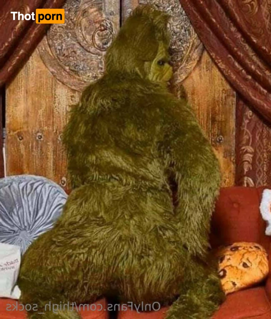 Thigh_High_Wonderland 15417742