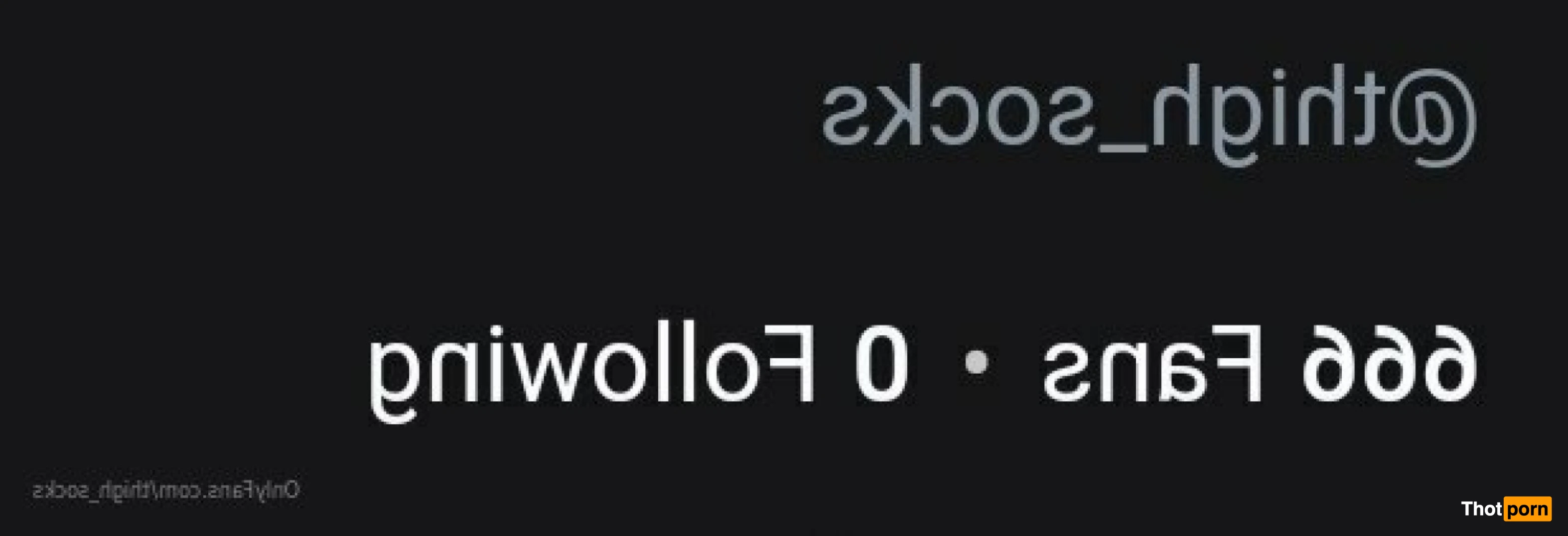 Thigh_High_Wonderland 15427352