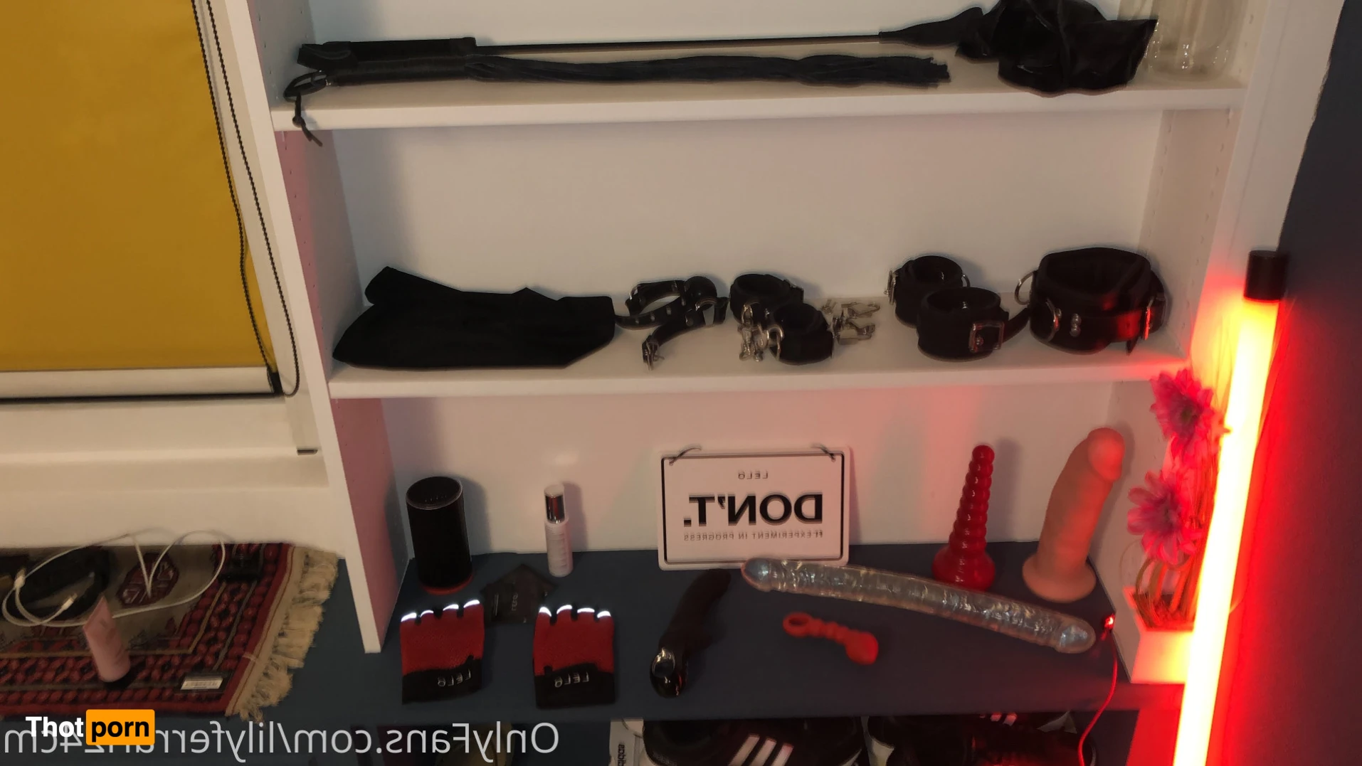 TRANS LILY FERRARI 24CM 14480101