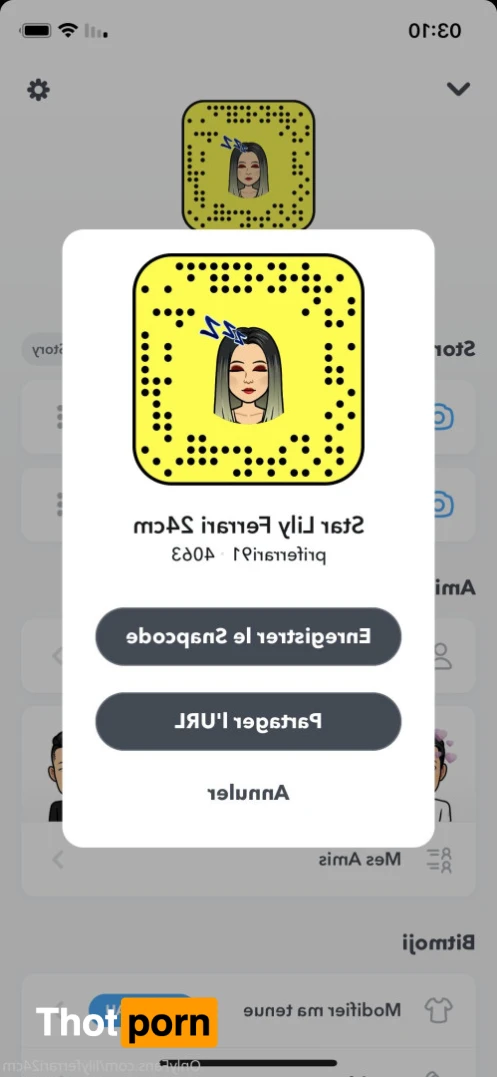 TRANS LILY FERRARI 24CM 14523097