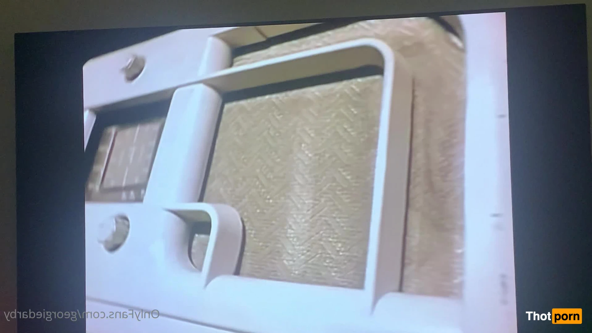 TRANS LILY FERRARI 24CM 14538525