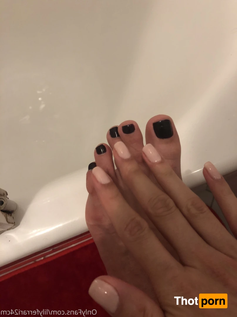 TRANS LILY FERRARI 24CM 14539995