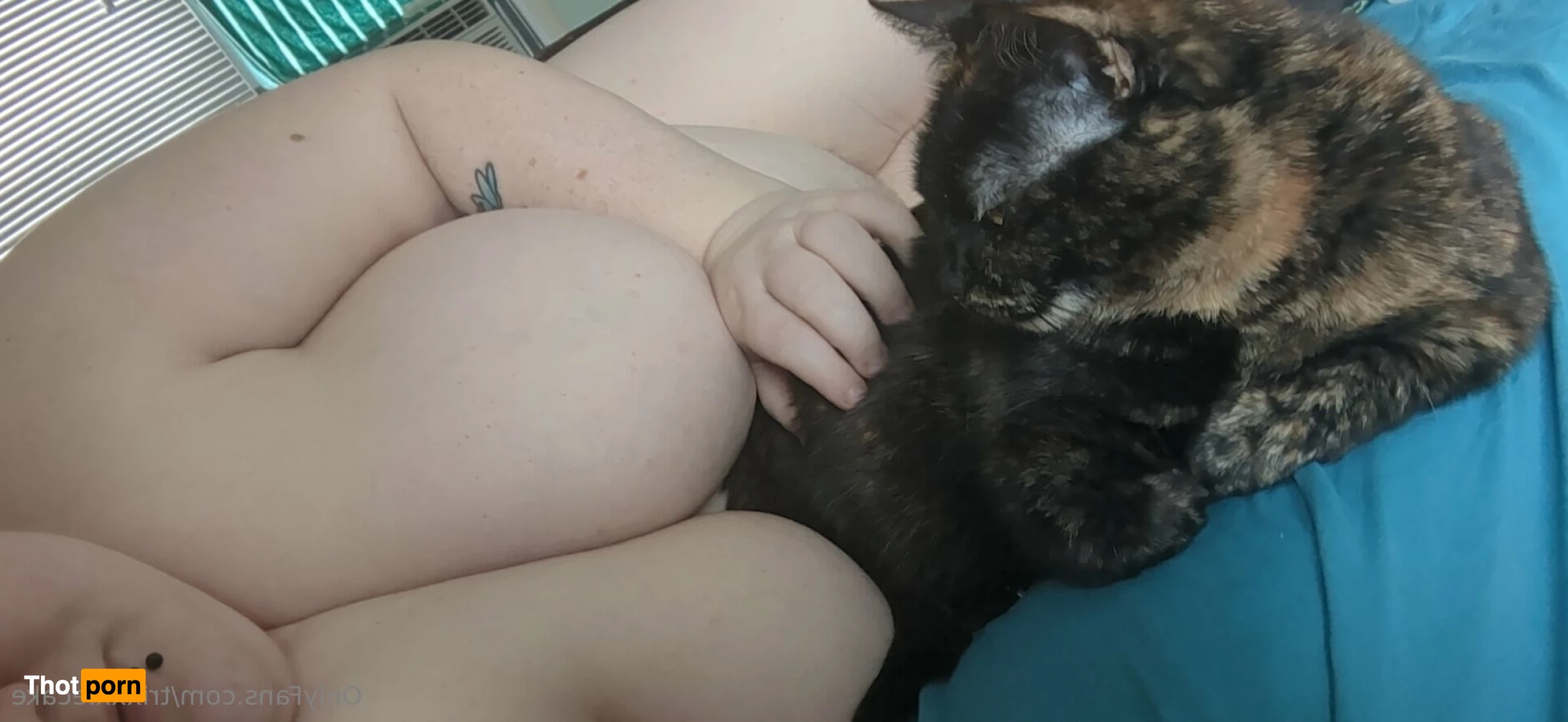 Trixie Cake 11176474