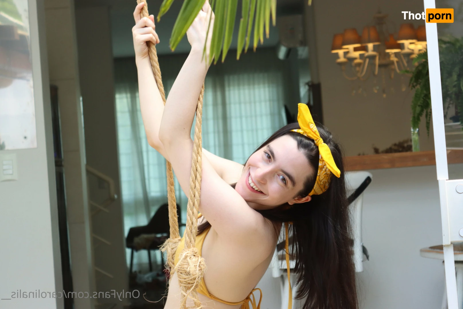 vicavitoria 12734702