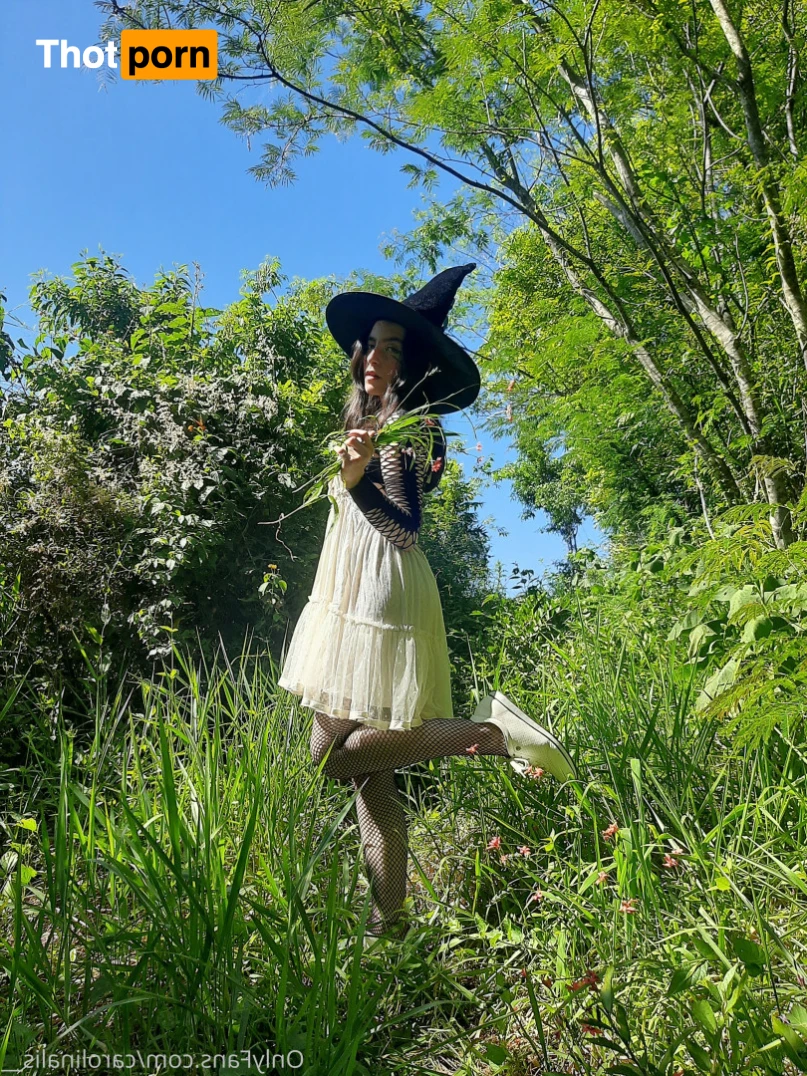 vicavitoria 12783975