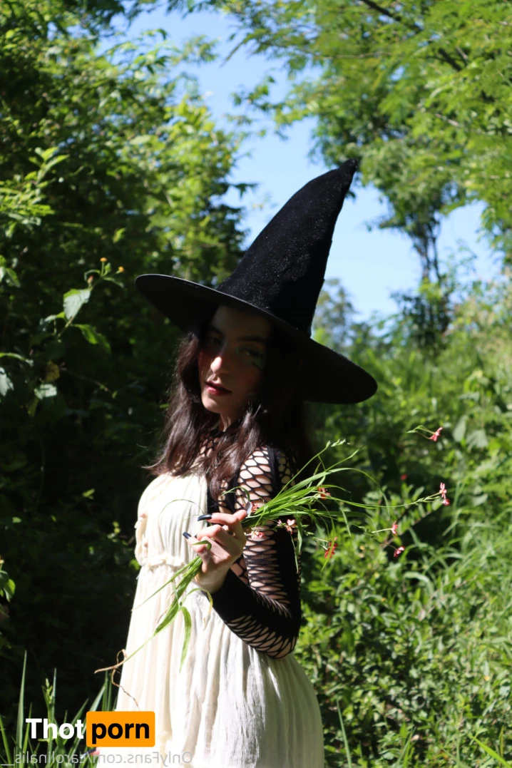 vicavitoria 14510882