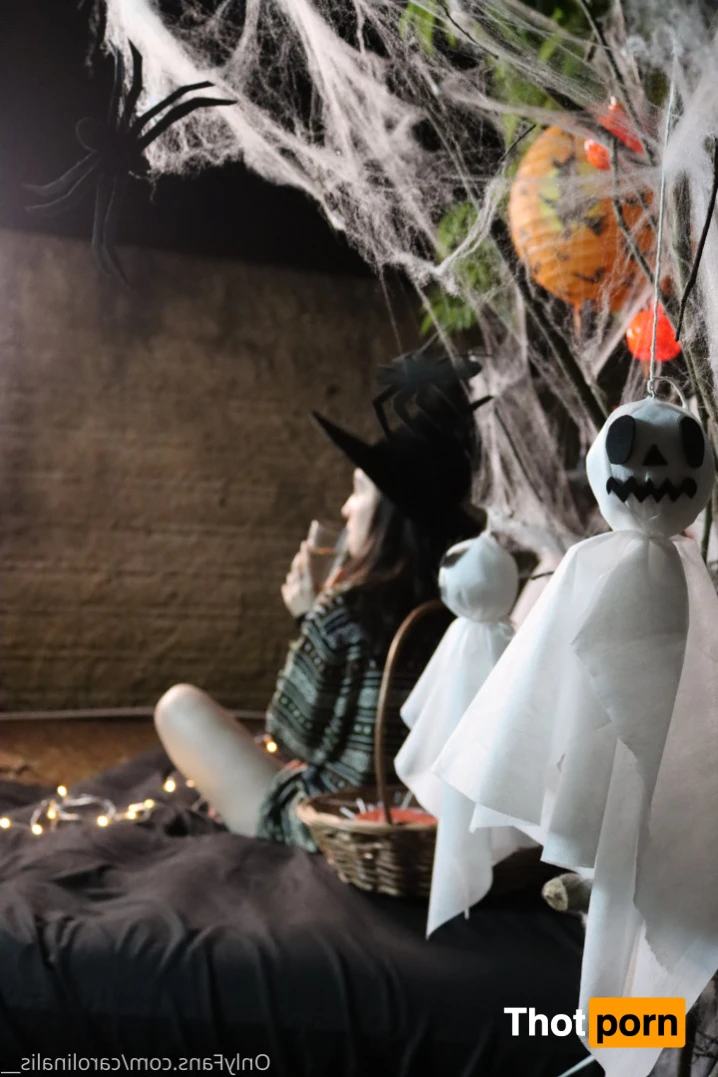 vicavitoria 14524980