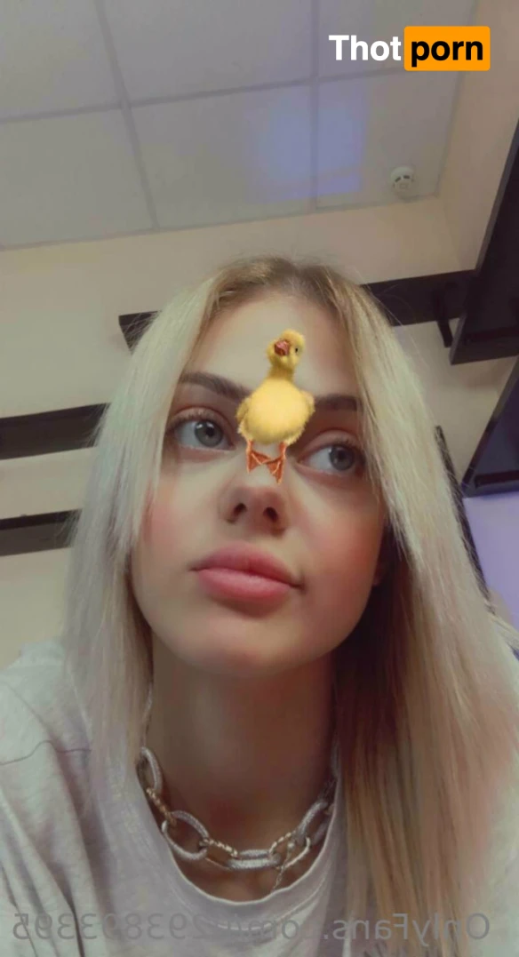 Viktoria Red 11369787