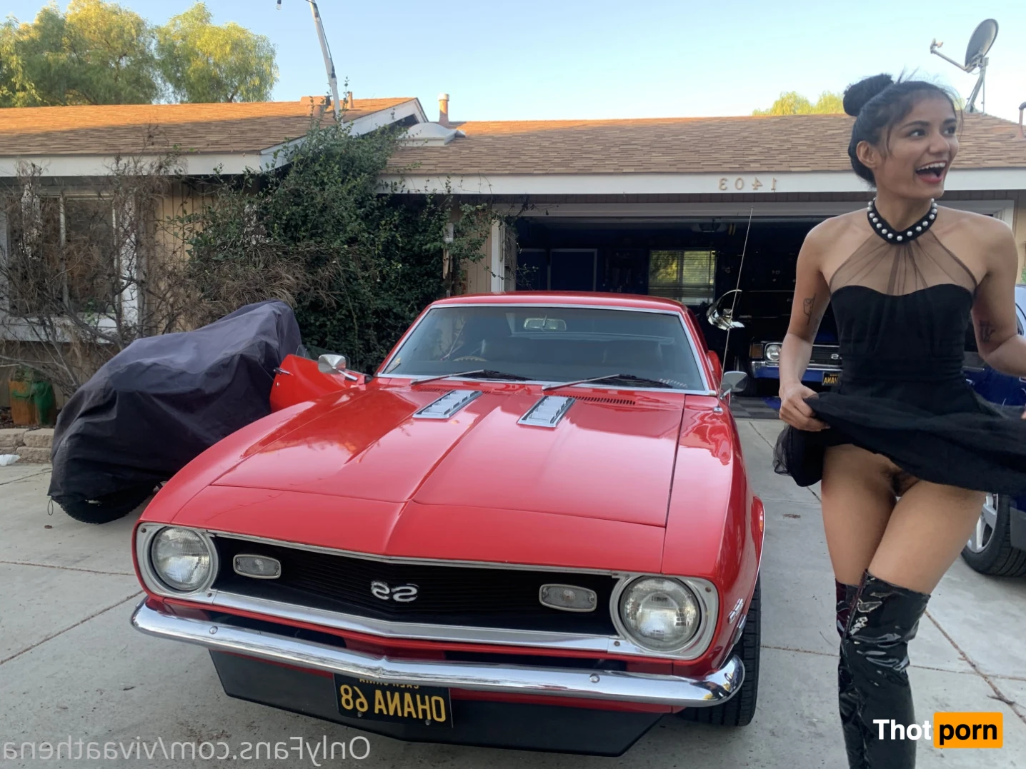 Viva Athena 16533780