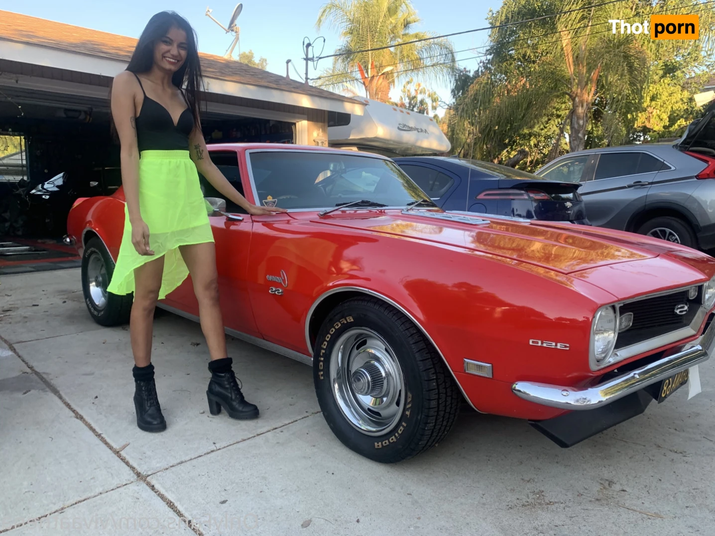 Viva Athena 16536739